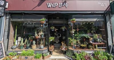 New inner-city garden centre opens in Bristol