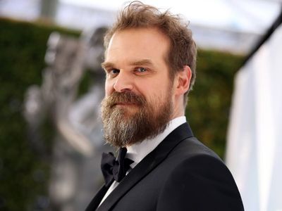 David Harbour says he was institutionalised for bipolar disorder at 26