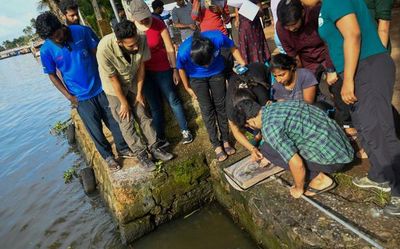 Vembanad fish count records 48 species