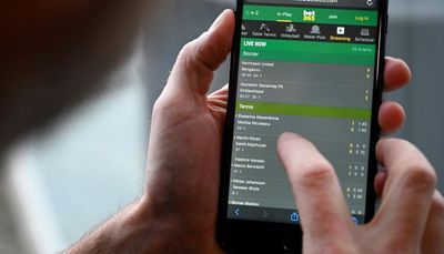 Results of a survey of sports bettors are in, and they’re 100% unbelievable