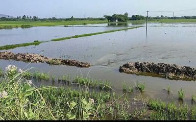 Miscreants damage sluice gate of lake in village near Vandavasi