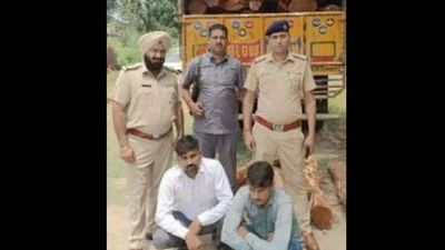 Haryana: Two held with Khair wood worth Rs 50 lakh in Ambala