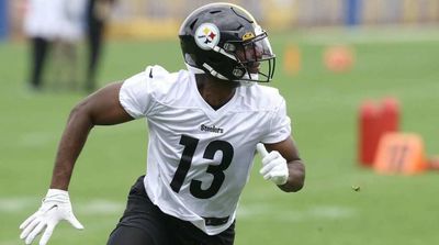 New Steelers WR Miles Boykin Shares Why He Used to Hate Franchise