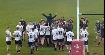 Moving Welsh rugby picture captures remarkable scenes at end of match that meant so much