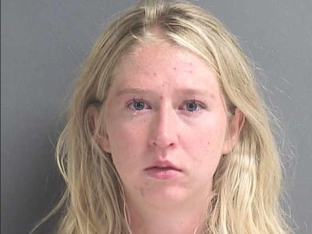 Woman charged after four dogs died in hot car while…
