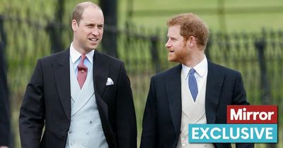 Prince Harry and William holding weekly FaceTime calls to heal rift ahead of Jubilee