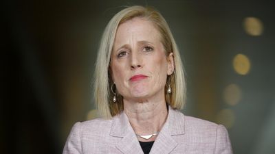 Federal election: Labor needs one more seat for majority as vote count continues, Greens secure Brisbane seat — as it happened