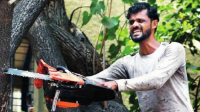 Mumbai: Almost all dangerous trees & 50% of others trimmed, says BMC