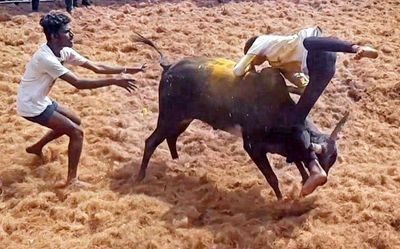 Top Tamil Nadu news developments today