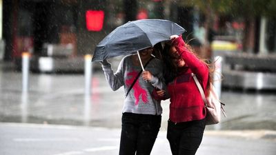 South Australia braces for severe weather with damaging winds, thunderstorms expected