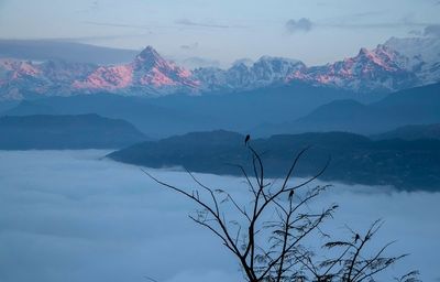 Plane with 22 people on board missing in Nepal's mountains