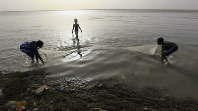 Sudan’s 'neglected' Nile fishermen struggling with depleted fish stocks