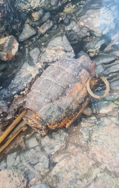 Boy finds live First World War Mills bomb grenade on beach ‘capable of exploding’