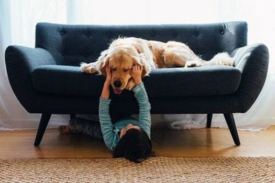 Scientists identify a surprising gut health benefit of dog ownership