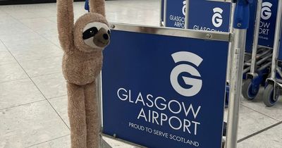 Glasgow Airport appeals to public to help reunite sloth with passenger who lost it