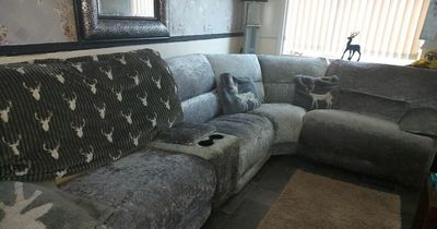 Mum creates crushed velvet sofa for £111 using bargains from B&M and Tesco