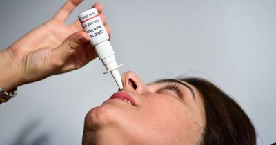 'New ground-breaking Covid vaccination nasal spray only needing one use is on its way'