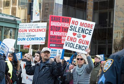 Why gun laws don't pass Congress