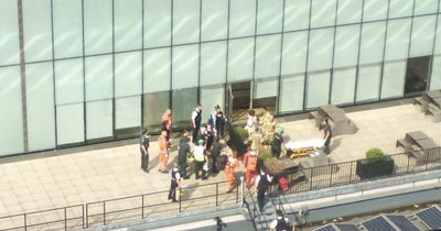 Tate Modern balcony 'little knight' holds first birthday party since plunge