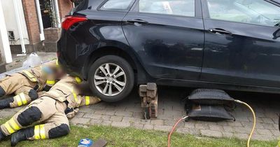 Stuck cat rescued by firefighters from under car
