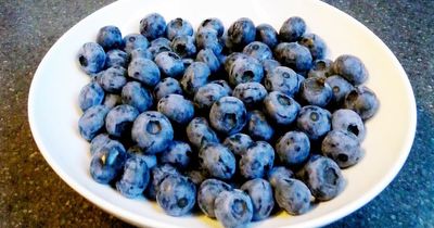 Blueberries could help prevent dementia in middle-aged, study finds