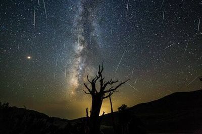 Meteor Storm May 2022: How to see Tau Herculid, the best outburst of the century