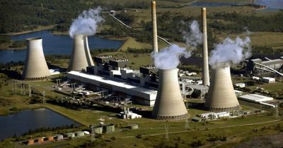 AGL drops plans to split company in two after strong opposition from Mike Cannon-Brookes