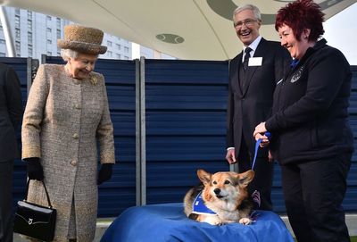 Queen’s favourite corgi breed now ‘beloved’ nationwide, says The Kennel Club