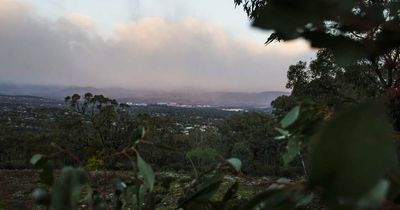 A week of unsettled weather to bring cold and wind to Canberra