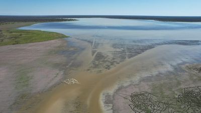 Outback Queensland, NSW comes to life as riverine flooding arrives without rain