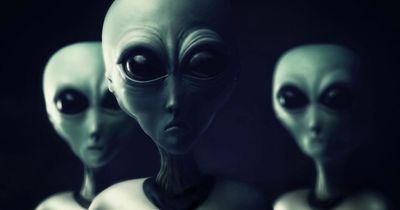 Aliens will be 'electronic entities' not little green men, Lord Rees tells UFO 'cranks'