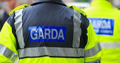 Gardai under investigation over complaints from public face huge pay hit