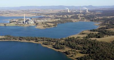 What AGL's corporate shake-up means for Hunter power stations