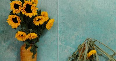 Scientist shows effect of dry-cleaning fluid used every day in UK