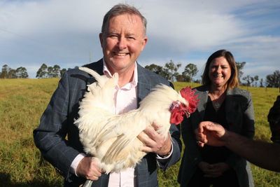 What will the new Labor government do for rural and regional Australia?