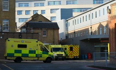 Woman stored baby’s remains in fridge after London hospital refused them