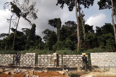 Ivory Coast builds a wall to protect endangered urban park