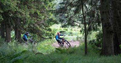 Plan for cycle trails to link north Northumberland landmarks and beauty spots