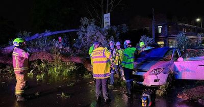 Storm damage: tree pins woman in car at Singleton after wild weather