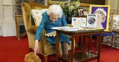Queen's corgis could be 'hidden' health risk at Platinum Jubilee, expert warns