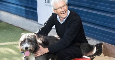 Paul O'Grady heartbroken after being forced to return foster dog to home