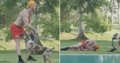 Logan Paul bitten by dog in his "reproducers" during YouTube workout