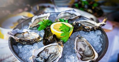 New Glasgow seafood restaurant Scamp opening in city centre this week