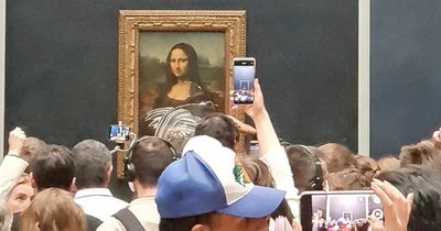 Mona Lisa attacked with cake by man disguised as an old woman in wheelchair