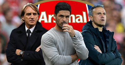 Roberto Mancini and Luis Enrique tipped as Arsenal's only options to upgrade on Mikel Arteta