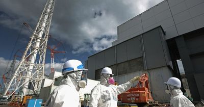 Fukushima nuclear reactor at risk of collapse if another earthquake hits facility