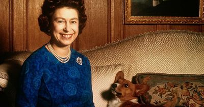 Five royal dogs who reigned before corgis and their personalities revealed