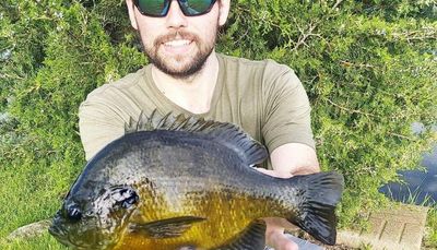 A big bluegill earns Fish of the Week, time to ponder the meaning of a fish of a lifetime