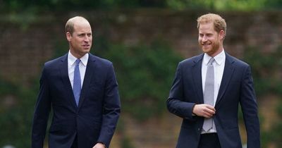 Signs Prince William and Prince Harry want to end feud - video calls and Jubilee visit