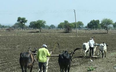 Kalaburagi sets 7,84,353 hectares target for kharif season